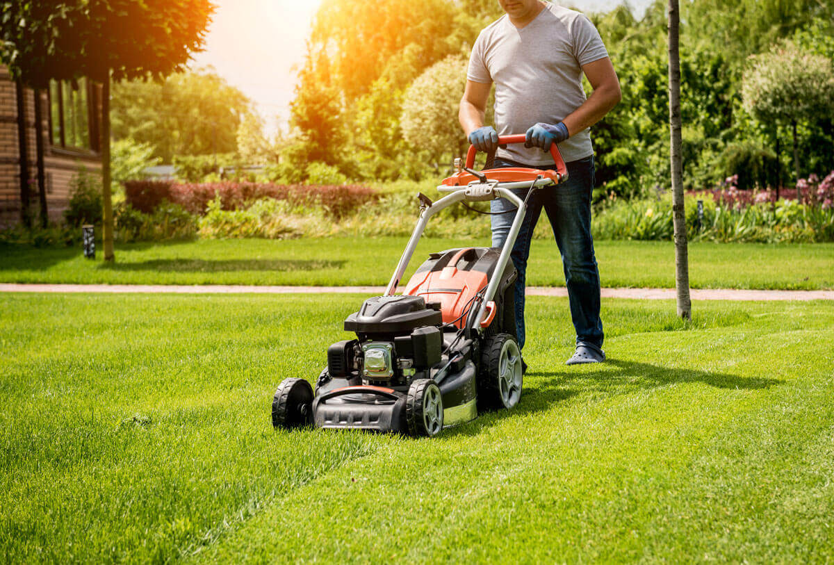 Walk-Behind Lawnmowers